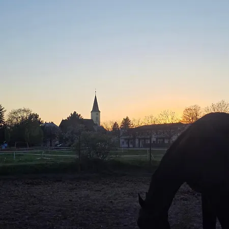 Na Statku Nh Stables *