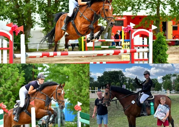 Appartement Nh Stables *